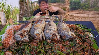 ขนมจีนซาวน้ำปลาร้านัวๆ แกล้มชะอมปลาทูทอดกรอบลำขนาดครับ-05-05-2024-