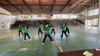 PATHFIT 2_ FINAL ACTIVITY #5 - BASIC SKILLS IN TAEKWONDO_GROUP 5 from BMLS 1-4