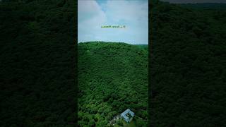 Save Aravali, Save Life⛰️ #viral #aravali #youtubeshorts #saveearth #trendingnow #trendingshorts
