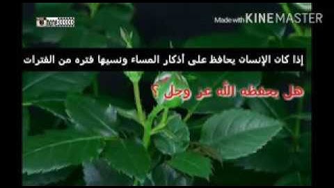 اهمية الاذكار في حياتنا... فتوى...!