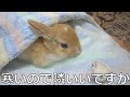 【衝撃】殿堂入りボケてがツッコミどころ満載だったwww84【ツッコミ】