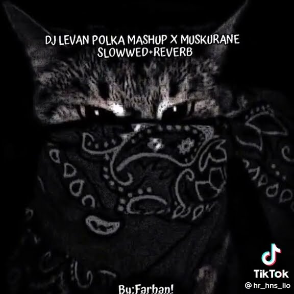 DJ LEVAN POLKA MASHUP X MUSKURANE SLOWWED REVERB