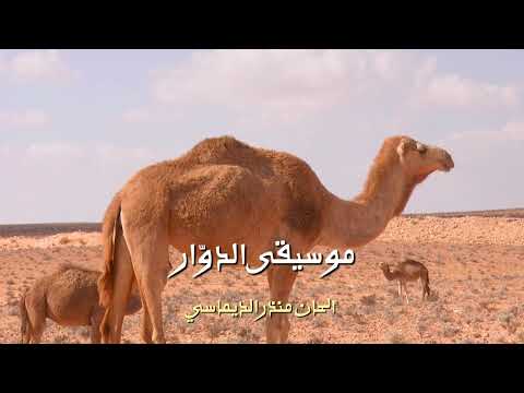 موسيقى المسلسل التونسي الدو ار للفنان منذر الديماسي نسخة أصلية