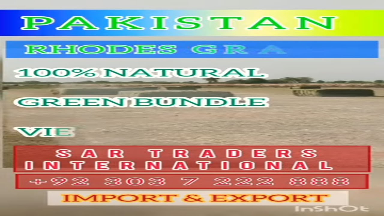 Rhodes Grass hay Lush green for sale 