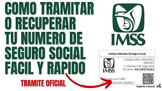 Obtén tu Número de Seguridad Social IMSS en Línea | Guía Paso a Paso 2025