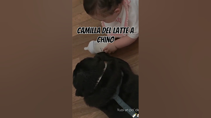 Video Divertente: Lascia un Like e Condividilo!