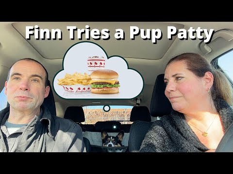 Can Dogs Eat Patties From In N Out