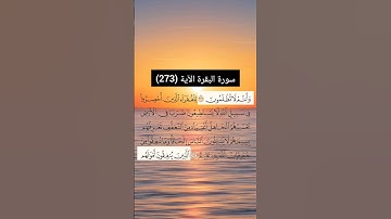 سورة البقرة الآية (273) | القارئ الشيخ: سعد الغامدي