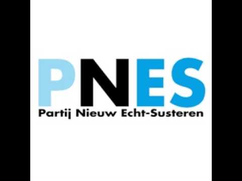Lokale kieswijzer | Wat kan P.N.E.S. voor u doen?