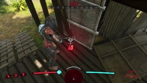 Predator: Hunting Grounds: You can find OWLF recordings in Single-Player