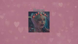 Human by Christina Perri ( Slowed ) - Because Harley Quinn is only human 💖💙