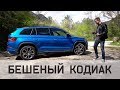 Skoda Kodiaq RS 2019 Тест Драйв САМЫЙ БЫСТРЫЙ КодиаК