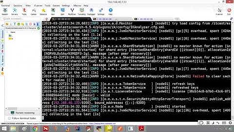 31 Elasticsearch集群之故障转移