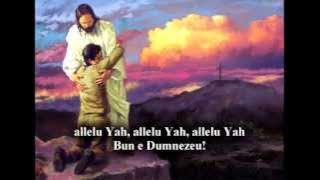 Inaintea LUI se apleaca muntii