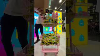 Trendy Treats Freeze Dried Candy Giveaway at Vidcon @vidcon #vidcon #freezedriedcandy #trendytreats