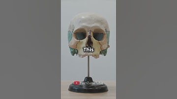 Why You Hate Your Own Voice!