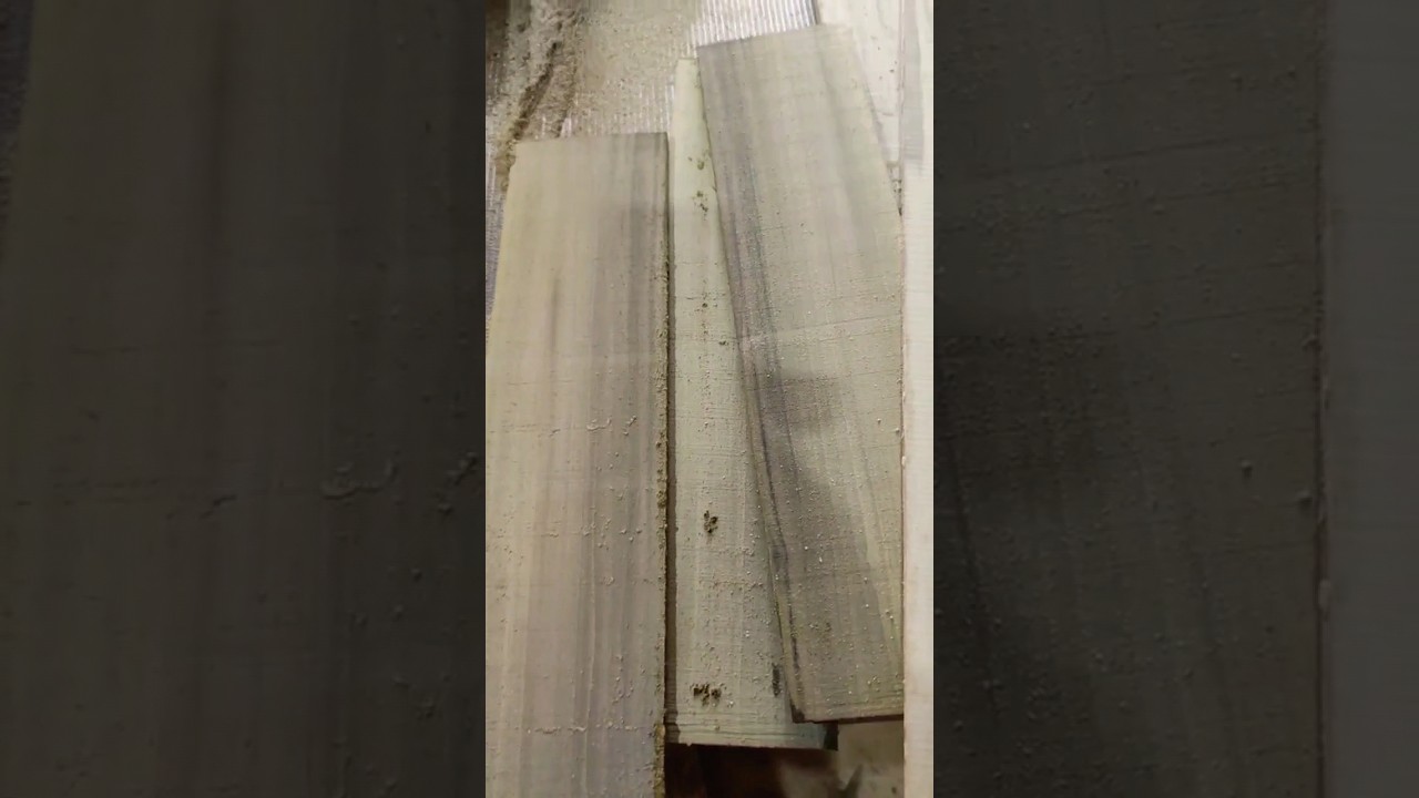 wood 🌳🪚🪵| Tulip wood| Green wood 