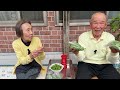 お客さん！いらっしゃいスナップエンドウ🫛だよ 重吉87歳 夏子88歳 2026.5.2