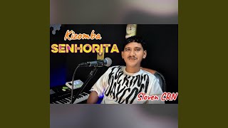 Download Lagu SENHORITA MP3