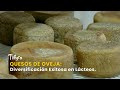Quesos de Oveja: Diversificación Exitosa en Lácteos - TvAgro por Juan Gonzalo Angel