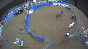 Big Sky Ranch Sorting Saddle Series #4 - OPEN - Round #1 - Ride #4