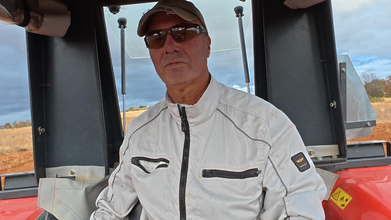 Como semear tremoços, passo a passo