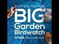 RSPB&#39;s Big Garden Birdwatch