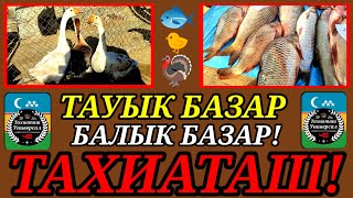 🐓ТАУЫК-БАЛЫК🐟БАЗАР ПТИЧИЙ РЫНОК 14.04.24ж.#тахиаташ#каракалпакистан#узбекистан#цены#базар#рынок#куры