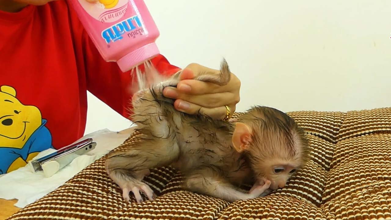 Mom So Much Care & Take Baby Power Apply Protect Buttock Inflammation