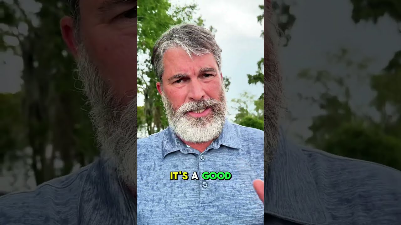 September 15 2024