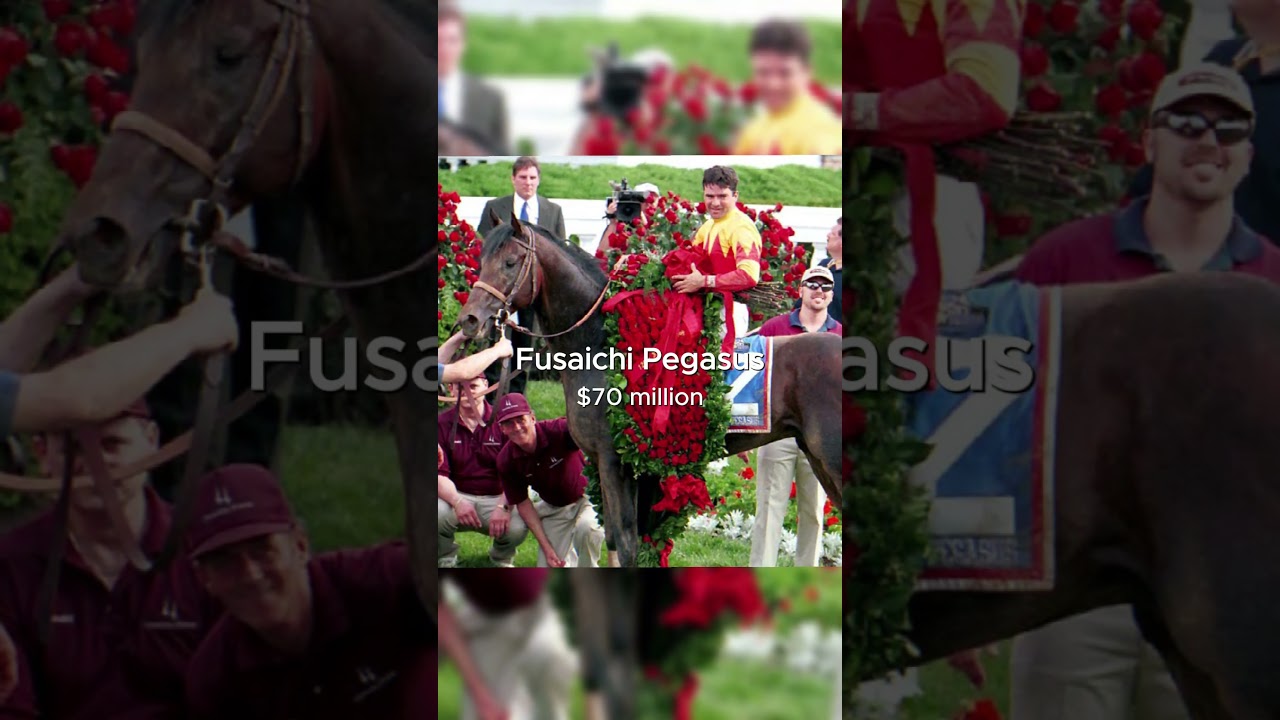 The most expensive horse ever sold....Fusaichi Pegasus  