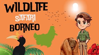 Come Explore The Wild Wonders Of Borneo With Us On An Unforgettable Safari Adventure!