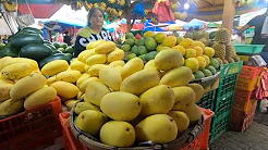 Beautiful Fruits In My City Mangoes Are Everywhere