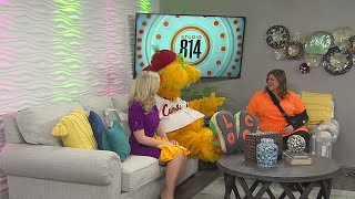 Loco crashes the set! WTAJ Studio 814