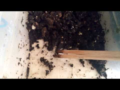 Video: Kompostda kartondan foydalanish - Karton qutilarni qanday kompost qilish kerak