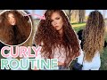 My CURLY Hair Care Routine | How to Wash and Style Curly Hair | MILA WENDLAND