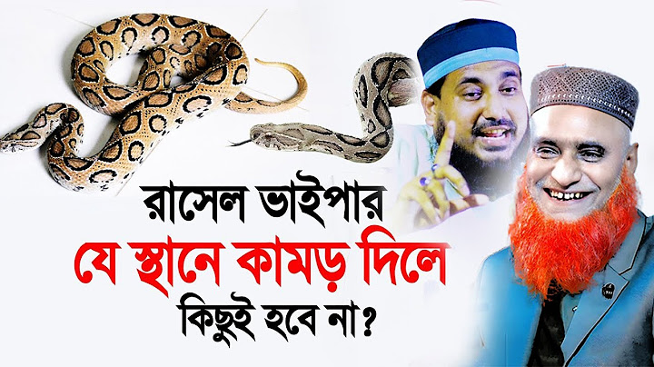 🔴রাসেল ভাইপার যেস্থানে কামড় দিলে কিছুই হবে না !  #abdus_salam_juktibadi !!  abdus Salam Juktibadi
