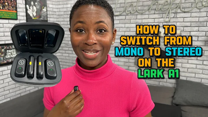Hollyland Lark A1 - Review - How to Access Mono & Stereo Control