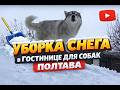 ЗАВАЛИЛО СНЕГОМ! ❄️ Уборка в гостинице для собак в Полтаве  Снегоуборочная машина в деле