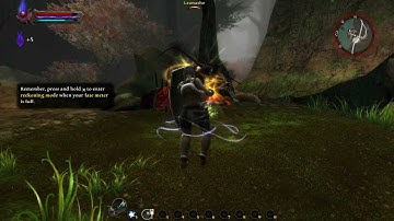 Linux Gaming: Kingdoms Of Amalur Gameplay#2
