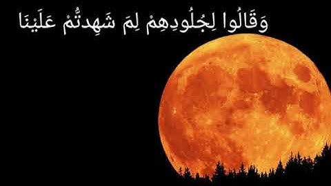 تلاوة خاشعة.. القارئ خالد الجليل.. سورة فصلت.. وَقَالُوا لِجُلُودِهِمْ لِمَ شَهِدتُّمْ عَلَيْنَا