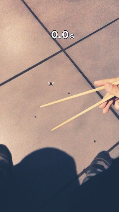 Catch a fly with a chopstick filter