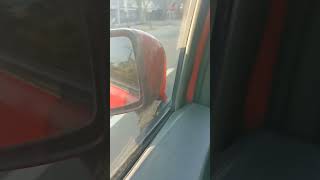 Kodok nyangkut di spion mobil | #shortsvideo