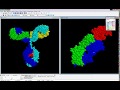 Esvt structure et spcificit des anticorps