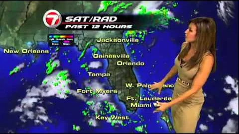 WSVN Weather Julie Durda Beige Dress 9/21/2011