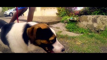 GOPRO HERO 4 ON SHAPE ISEEI GIMBAL TEST