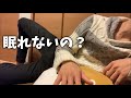 【女性向けボイス】眠れない彼女によしよしとんとん添い寝【シチュエーションボイス/バイノーラル/立体音響/ASMR】