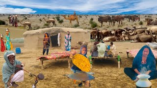 Camels People Lifestyle in Deep Desert | Desert Women Life | Camels in Cholistan
