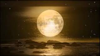 Neil Young - Harvest Moon  (subtitulos español)