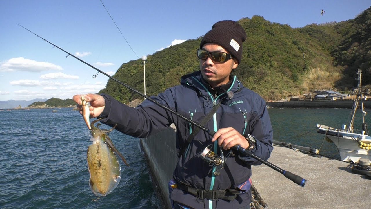 #309 情熱のエギンガーが見つけた宝島～宇和の離島にしゃくるアオリイカ～